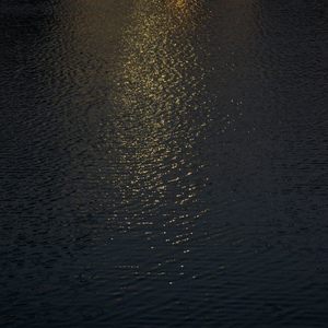 亚洲男同gv资源在线观看
